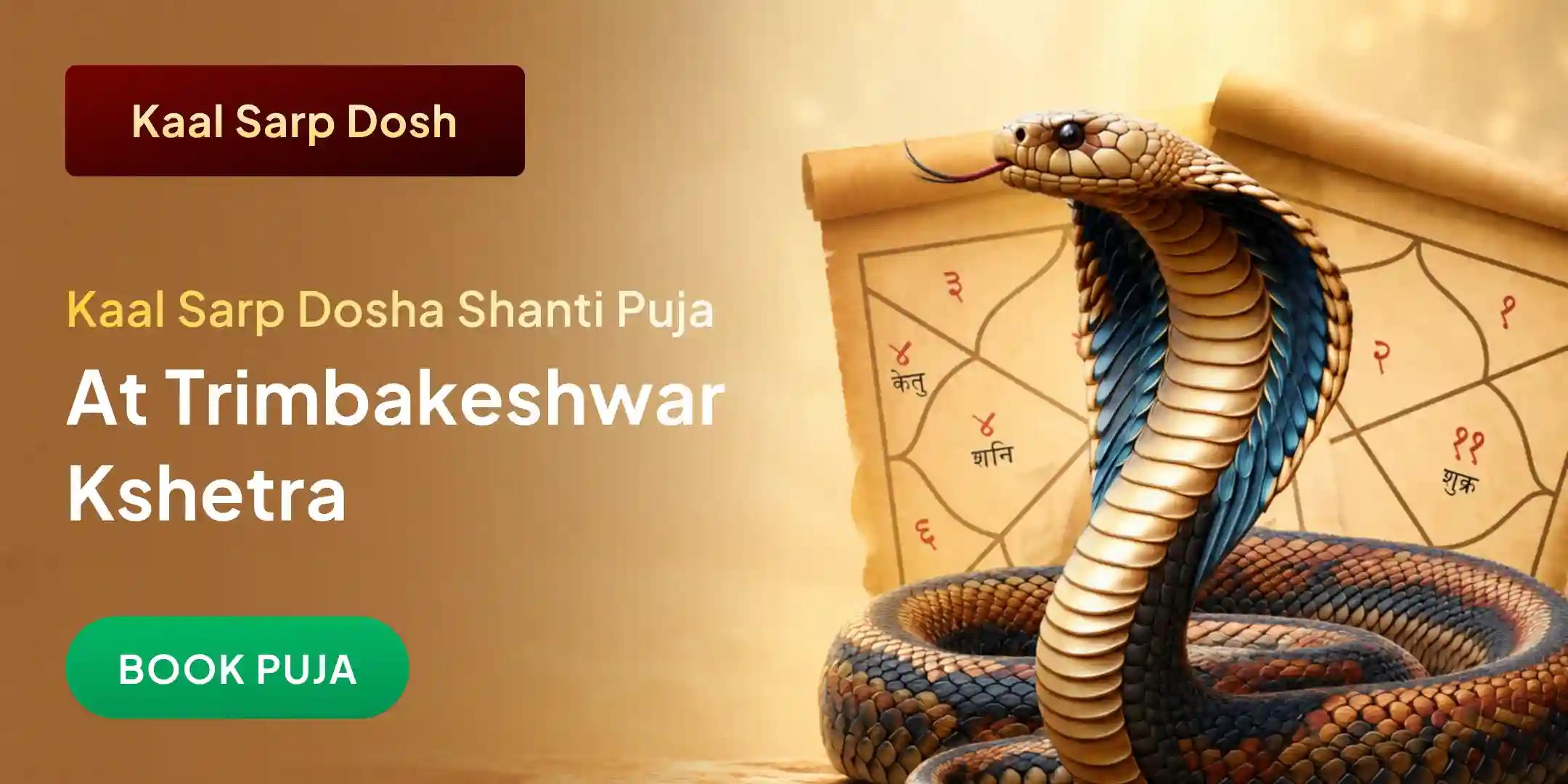 Kaal Sarp Dosh Shanti Puja Trimbakeshwar Kshetra Kaal Sarp Dosh Shanti Puja Trimbakeshwar Kshetra