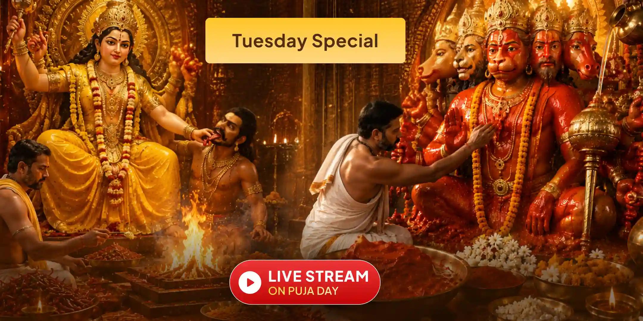 Hanuman 21 Kg Sindoor Arpan Chameli Tel Abhishek with Bagalamukhi 21 Kg Lal Mirch Havan and Pratyangira Kavach Path Hanuman 21 Kg Sindoor Arpan Chameli Tel Abhishek with Bagalamukhi 21 Kg Lal Mirch Havan and Pratyangira Kavach Path