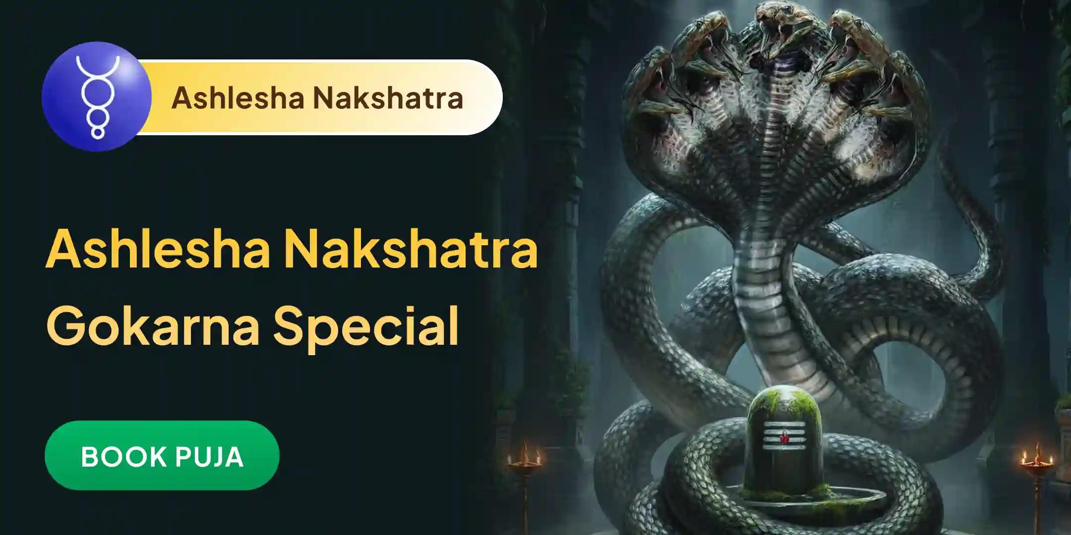 Ashlesha Bali Puja Ashlesha Bali Puja