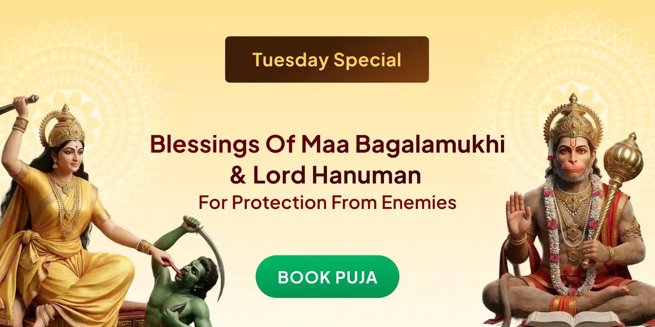 Maa Bagalamukhi Shatru Buddhi Vinashini Yagya and Hanuman Shatrunjay Pujan Maa Bagalamukhi Shatru Buddhi Vinashini Yagya and Hanuman Shatrunjay Pujan