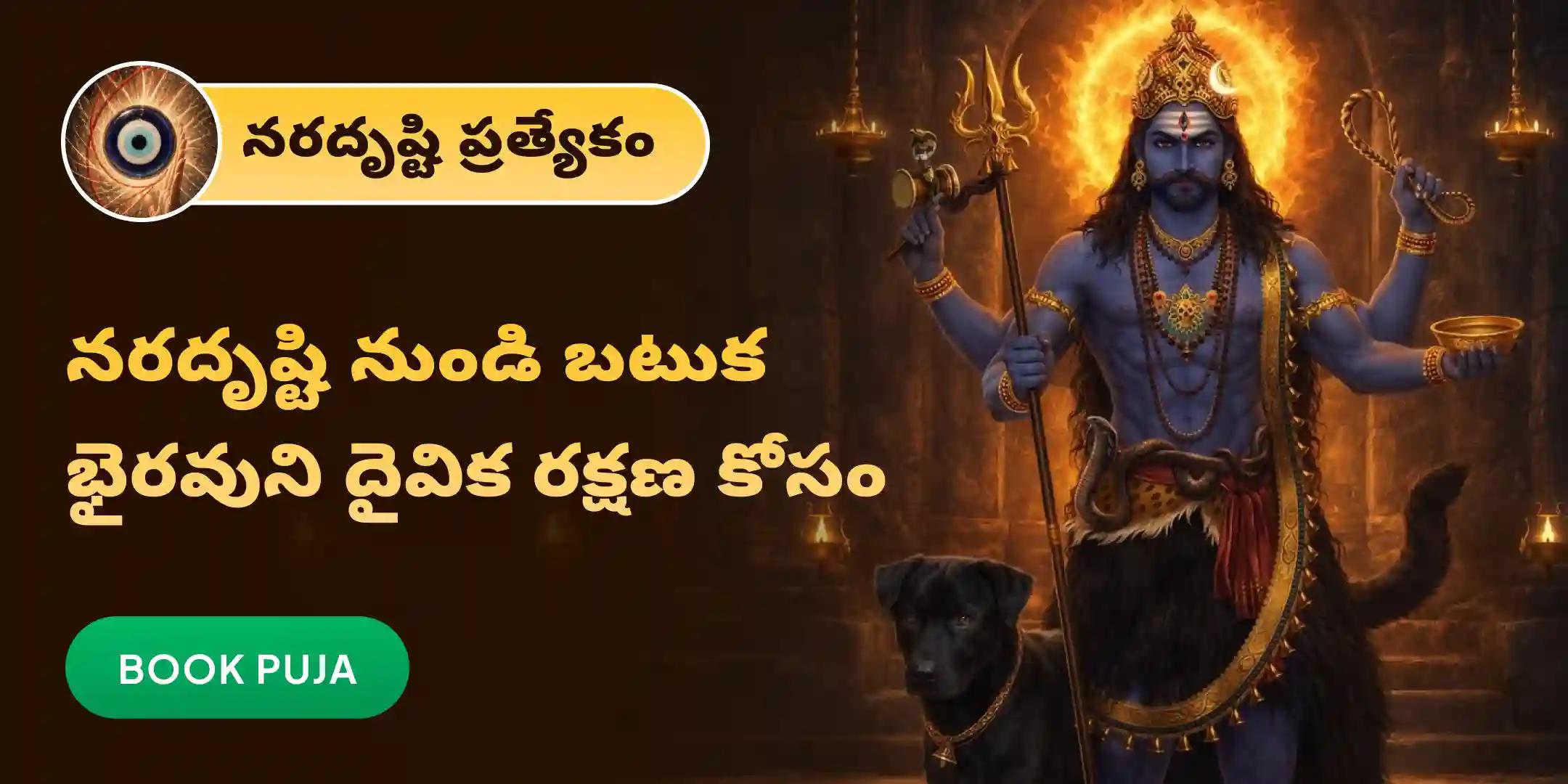నరదృష్టి దోష శాంతి పూజ మరియు హోమం నరదృష్టి దోష శాంతి పూజ మరియు హోమం