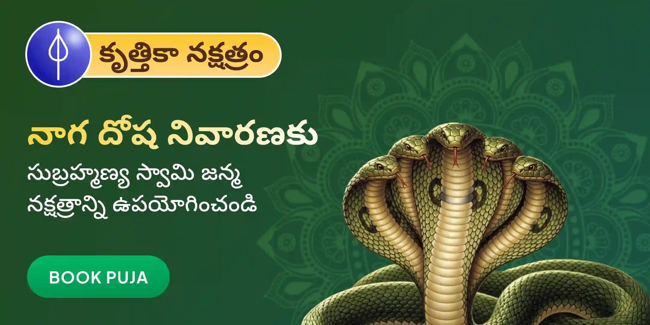 ఆశ్లేష బలి పూజ ఆశ్లేష బలి పూజ