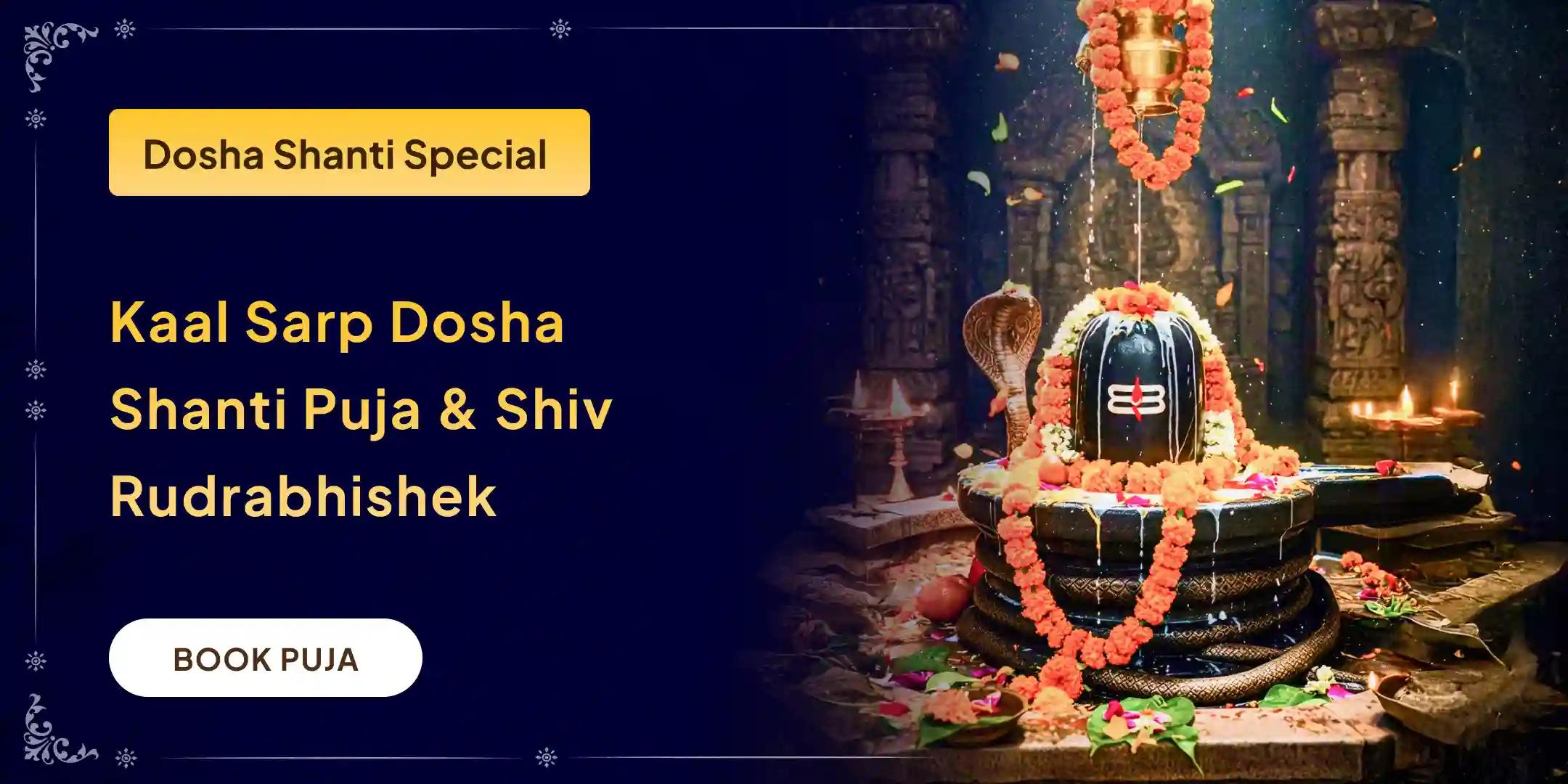 Kaal Sarp dosha Shanti Puja and Shiv Rudrabhishek Kaal Sarp dosha Shanti Puja and Shiv Rudrabhishek