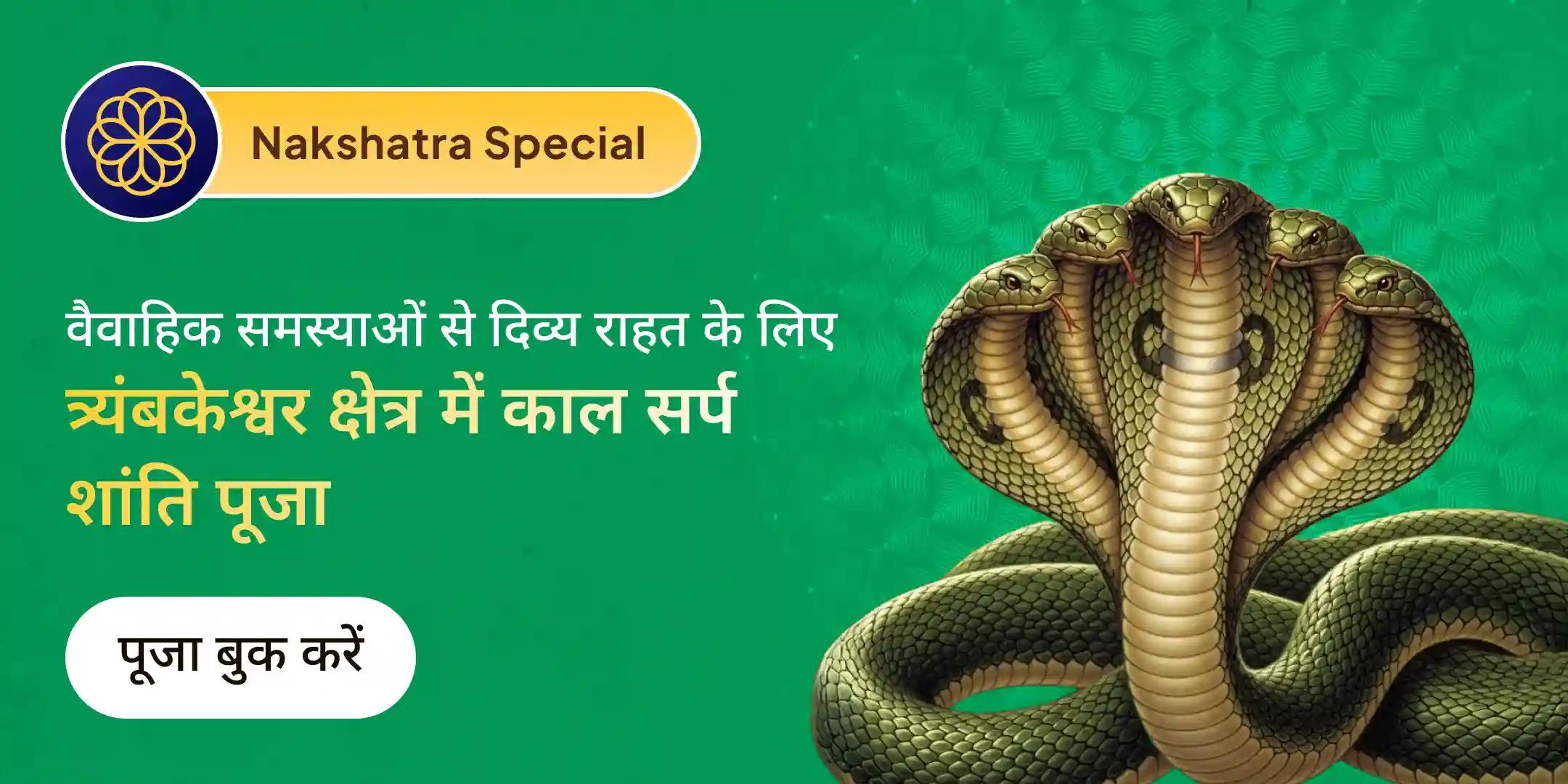 त्र्यंबकेश्वर में काल सर्प दोष शांति पूजा त्र्यंबकेश्वर में काल सर्प दोष शांति पूजा