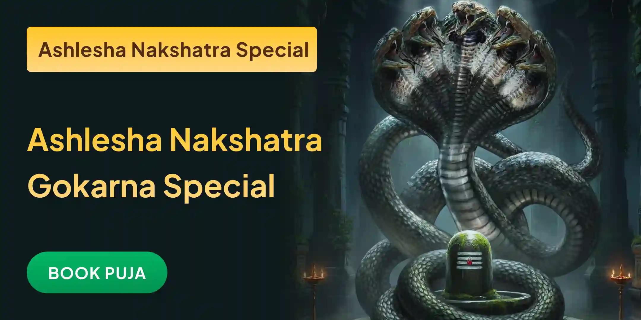 Ashlesha Naag Bali Puja Ashlesha Naag Bali Puja