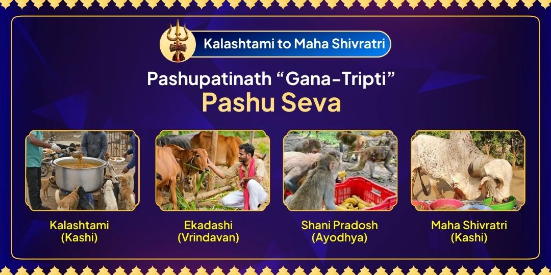 This Mahashivratri, attain the complete punya of your Shiva Aradhana only by serving Pashupatinath’s beloved Ganas (Dogs, Cows, Monkeys, and Nandi) This Mahashivratri, attain the complete punya of your Shiva Aradhana only by serving Pashupatinath’s beloved Ganas (Dogs, Cows, Monkeys, and Nandi)