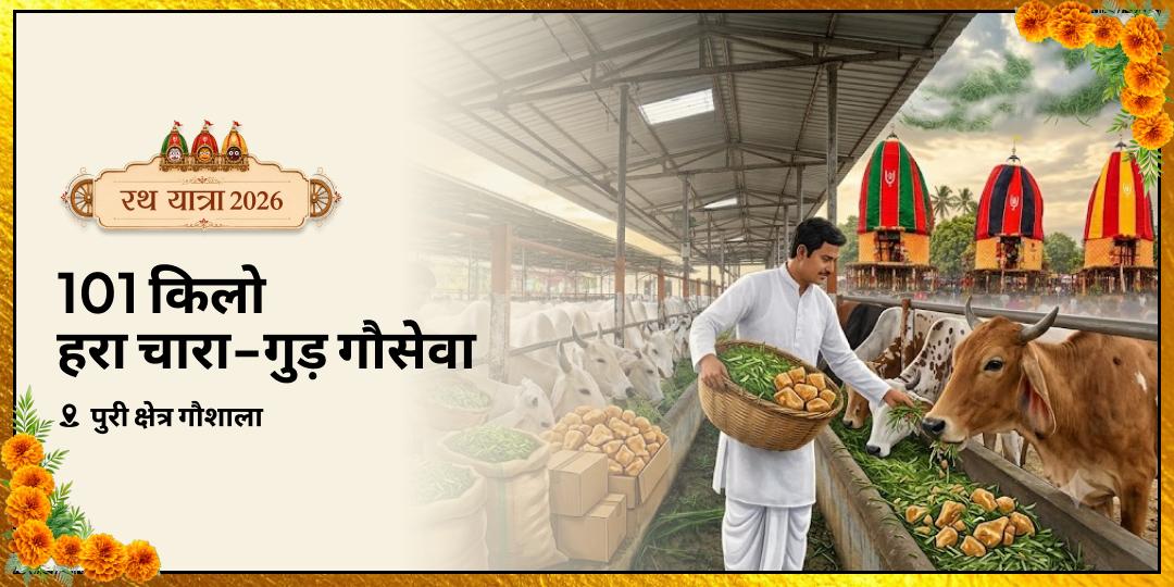 रथ यात्रा महापर्व में पुरी गौशाला में 101 किलो हरा चारा - गुड़ गौसेवा - धन-संकट, पितृ दोष, ग्रह-बाधा निवारण हेतु अभी सहभागी बनें! रथ यात्रा महापर्व में पुरी गौशाला में 101 किलो हरा चारा - गुड़ गौसेवा - धन-संकट, पितृ दोष, ग्रह-बाधा निवारण हेतु अभी सहभागी बनें!