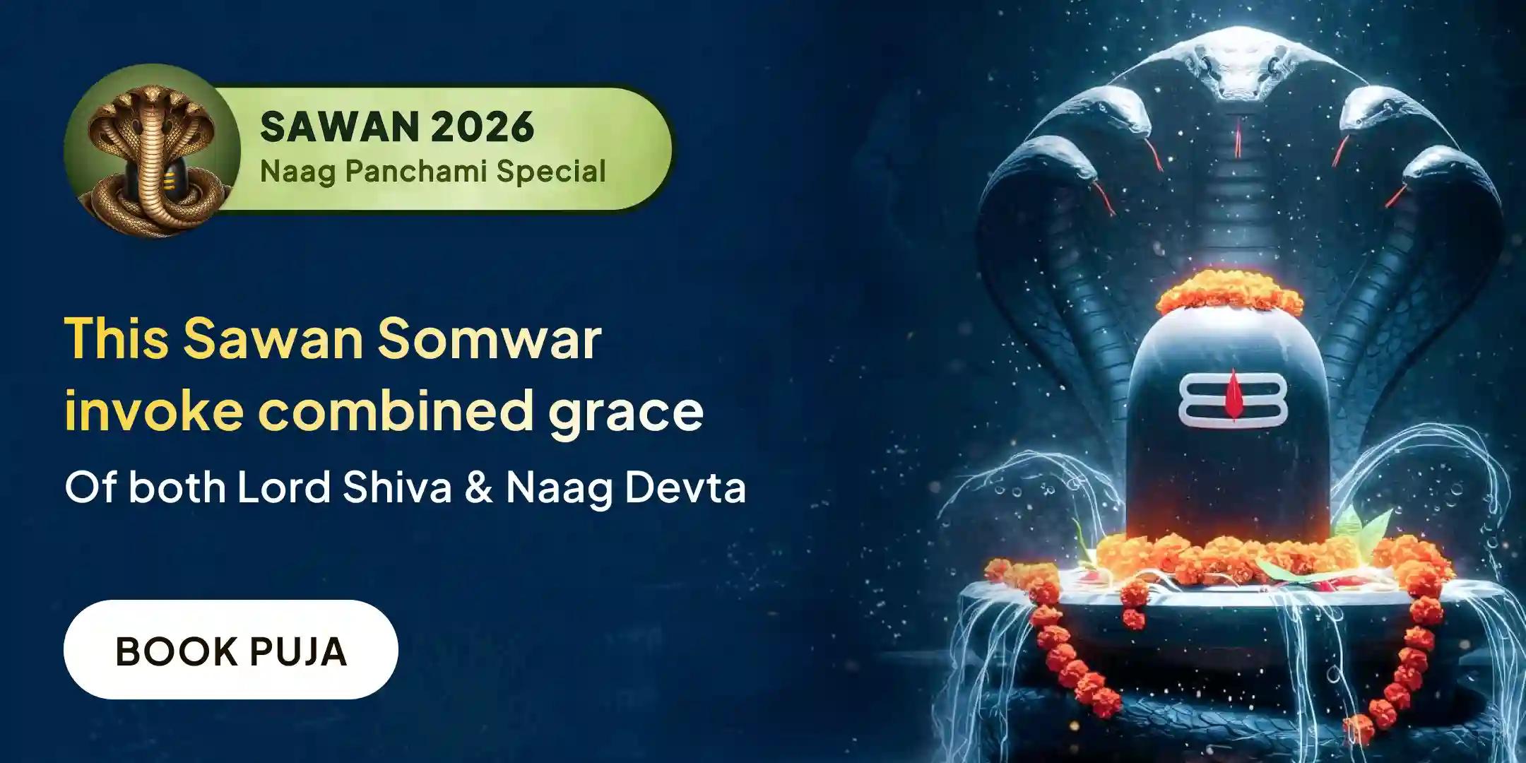 51 Brahmin, 9,00,000 Nav Naag Beej Mantra Jaap, 90,000 Dashansha Hawan with 100 Ltr. Dudh Abhishek Snan Mahapuja 51 Brahmin, 9,00,000 Nav Naag Beej Mantra Jaap, 90,000 Dashansha Hawan with 100 Ltr. Dudh Abhishek Snan Mahapuja